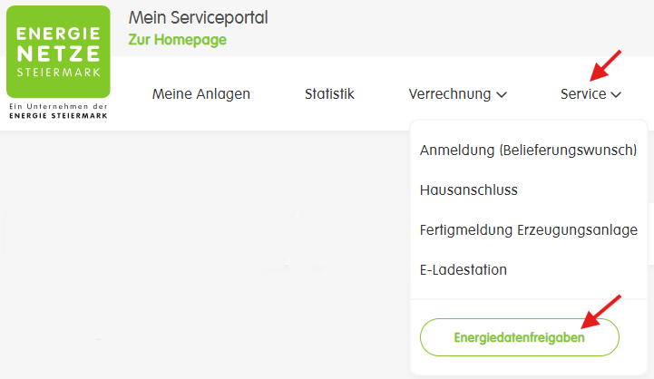 energienetze steiermark energiedatenfreigaben