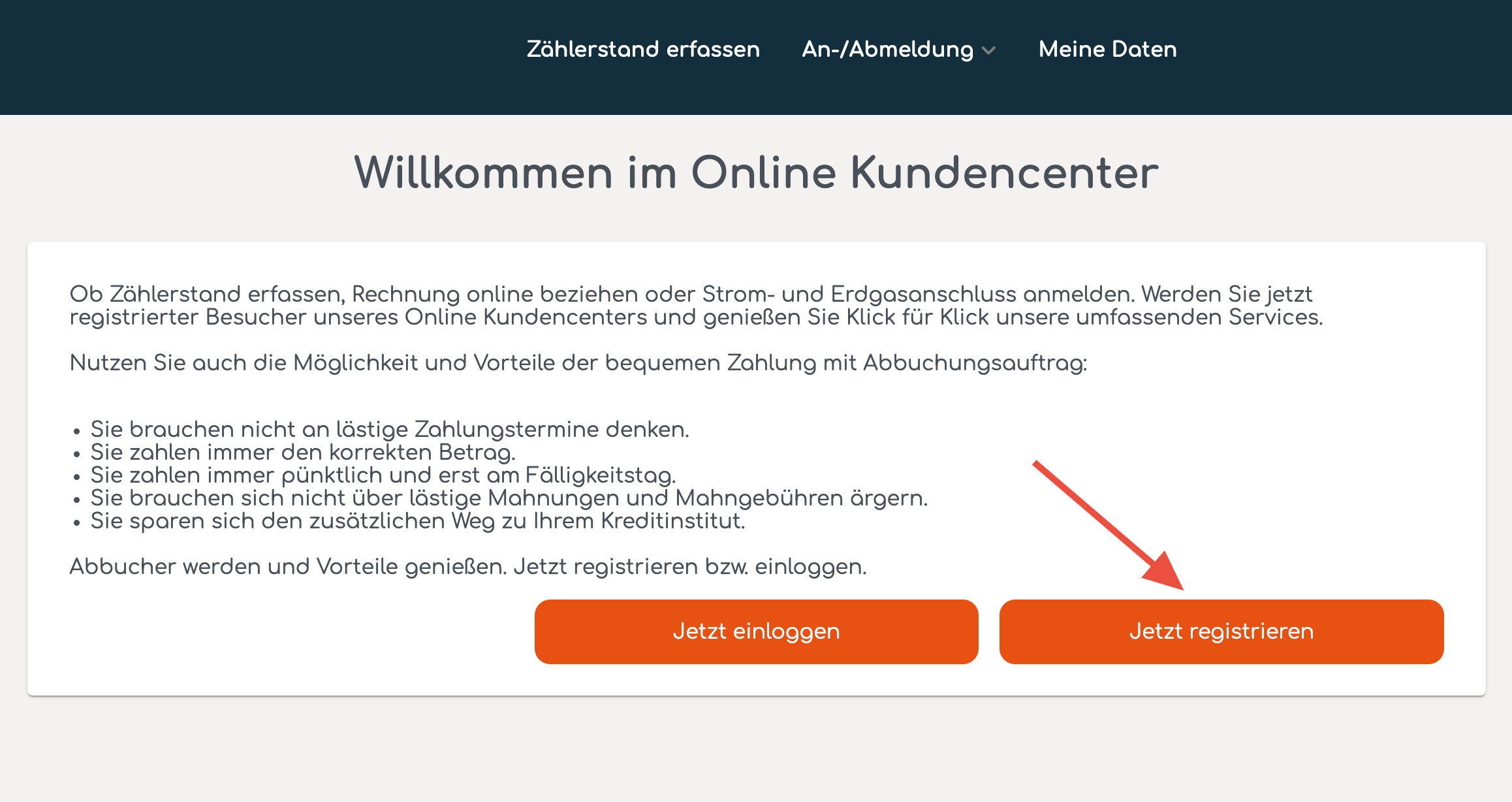 Registrierung Netz Bgld