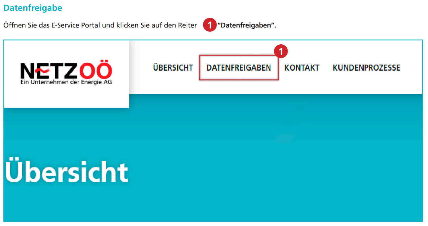 netz-ooe-eservice-datenfreigabe.jpg